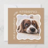 かわいいペットフォトクリスマス シーズンカード (正面)