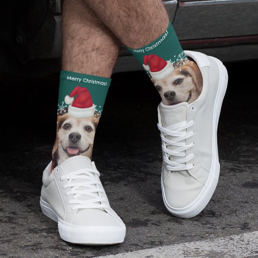 かわいいペットフォトサンタハットグリーンクリスマス ソックス