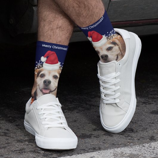 かわいいペットフォトサンタハットブルークリスマス ソックス