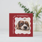 かわいいペットフォトレッドクリスマス シーズンカード (スタンド正面)