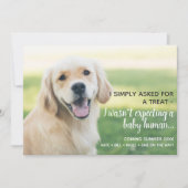 かわいいペットベビー人間の妊娠の発表 案内状 (正面)