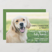 かわいいペットベビー人間の妊娠の発表 案内状 (正面/裏面)