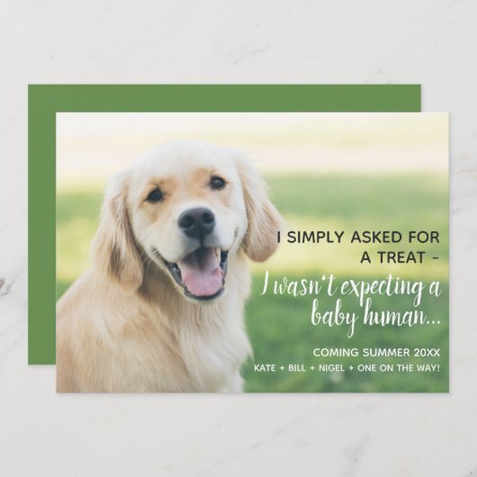 かわいいペットベビー人間の妊娠の発表 案内状 (正面/裏面)