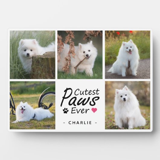 かわいいペットモダン犬の写真コラージュ フォトプラーク (正面)