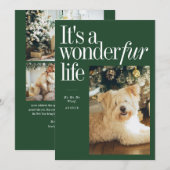 かわいいペットワンダーファーライフのクリスマスフォト シーズンカード (正面/裏面)