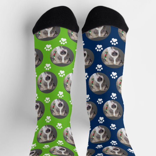 かわいいペット写真2色スポーティグリーンブルー ソックス (上部)