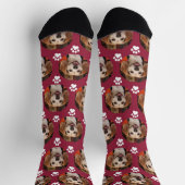 かわいいペット写真&ポープリント（鳥）ショウジョウコウカンチョウ赤犬ネコ ソックス (上部)