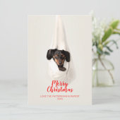 かわいいペット家族の小犬のクリスマスの写真 シーズンカード (スタンド正面)