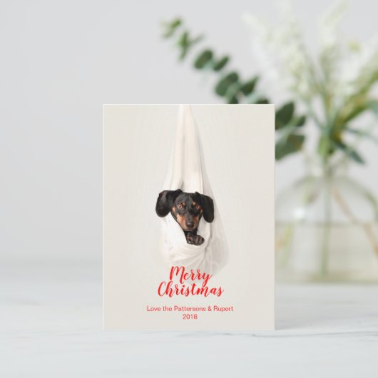 かわいいペット家族の小犬のクリスマスの写真 シーズンポストカード (スタンド正面)