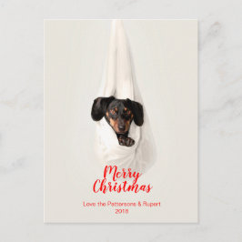 かわいいペット家族の小犬のクリスマスの写真 シーズンポストカード