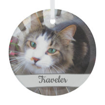 かわいいペット愛好家が自分で創るカスタム