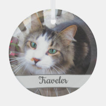 かわいいペット愛好家が自分で創るカスタム