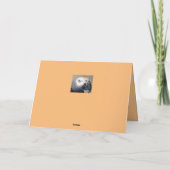 かわいいペット猫かわいい猫たちニワトリが元気 カード (裏面)