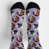 かわいいペット2犬フォトソックス ソックス (上部)