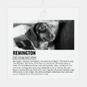 かわいいペット メタルオーナメント (正面)