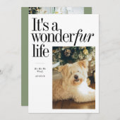 かわいいペット ワンダーファー・ライフ クリスマス写真 シーズンカード (正面/裏面)