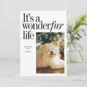 かわいいペット ワンダーファー・ライフ クリスマス写真 シーズンカード (スタンド正面)