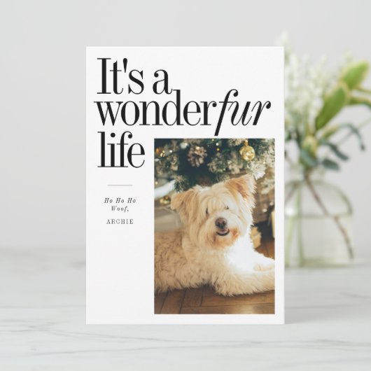 かわいいペット ワンダーファー・ライフ クリスマス写真 シーズンカード (スタンド正面)