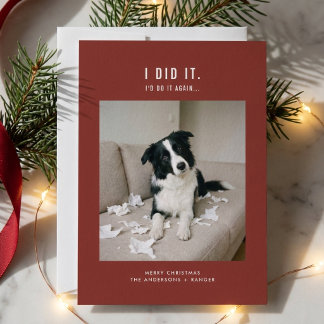 かわいいペット 楽しい犬の写真 クリスマス