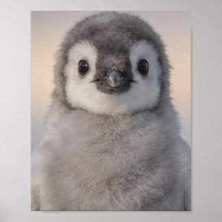 かわいいペンギンの肖像画 優しい保育園の壁のアート ポスター