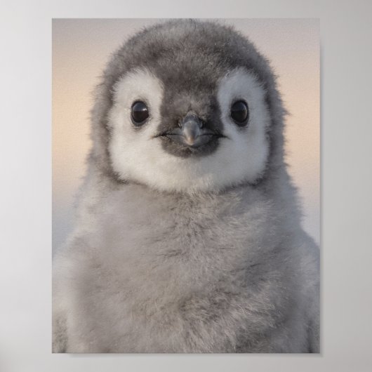 かわいいペンギンの肖像画 優しい保育園の壁のアート ポスター (正面)