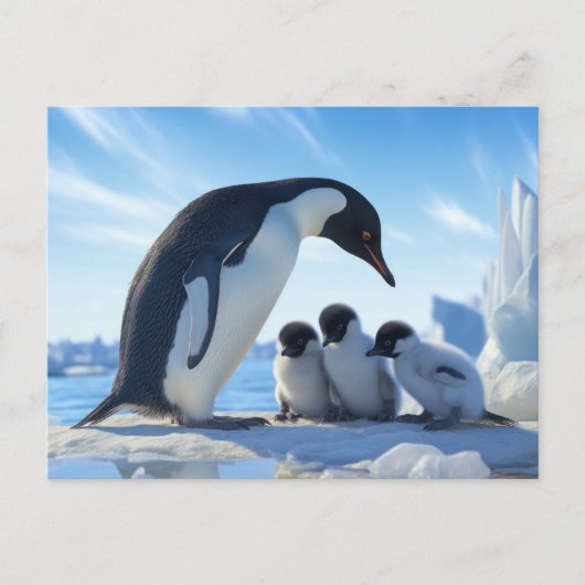 かわいいペンギン ポストカード (正面)