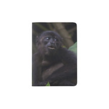 かわいいホエザル