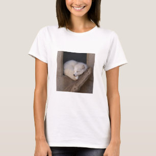 かわいいホッキョクギツネの睡眠 Tシャツ