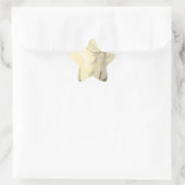 かわいいホッキョクグマ 星シール (バッグ)
