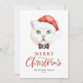 かわいいホワイトブリティッシュショートヘア猫サンタ・クリスマス シーズンカード (正面)