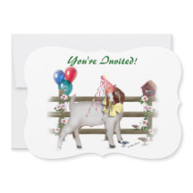 かわいいボアヤギ誕生日パーティー