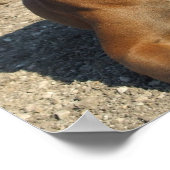 かわいいボクサーパピードッグプリント ポスター (角)