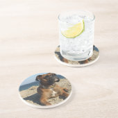 かわいいボクサー犬のコースター コースター (側面)