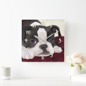 かわいいボストンテリアの壁時計 スクエア壁時計 (ホーム)