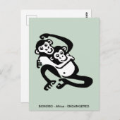 かわいいボノボ – チンパンジー – 野生生物 – 霊長類 ポストカード (正面/裏面)