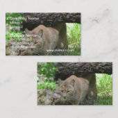 かわいいボブキャット 名刺 (正面/裏面)