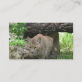 かわいいボブキャット 名刺 (裏面)