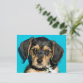 かわいいボルキーパピー ポストカード (スタンド正面)