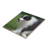 かわいいボーダーコリーの子犬 タイル (側面)