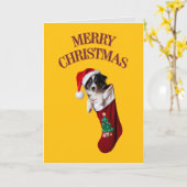 かわいいボーダーコリー クリスマス カード (黄色い花)
