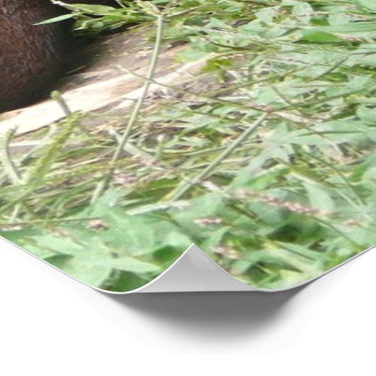 かわいいポスター ポスター (角)