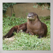 かわいいポスター ポスター (正面)