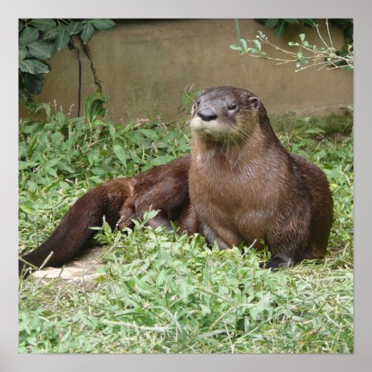 かわいいポスター ポスター (正面)