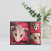 かわいいポストカード。 ポストカード (スタンド正面)