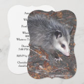 かわいいポッサムのアップクローズ 招待状 (正面/裏面)