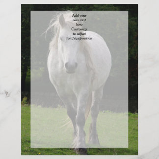 かわいいポニー写真