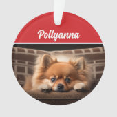 かわいいポメラニアンのクリスマスフォト オーナメント (正面)