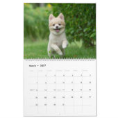かわいいポメラニアン 犬 壁 カレンダー (3月 2027)