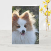 かわいいポメラニア犬スピッツドッグポートレート写真 カード (黄色い花)