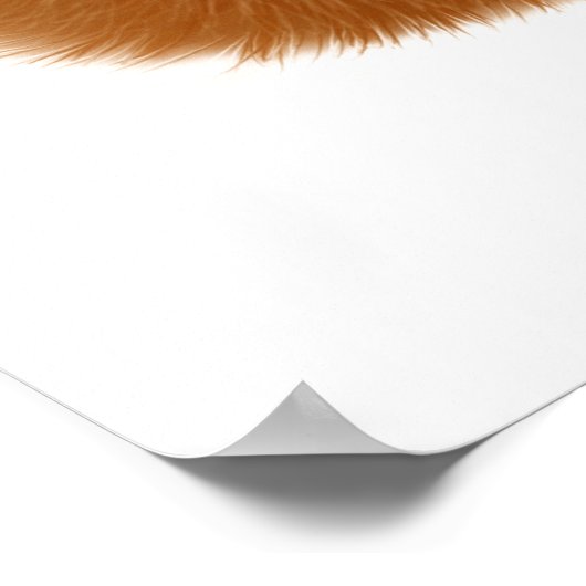 かわいいポメラニア犬パピープリント ポスター (角)